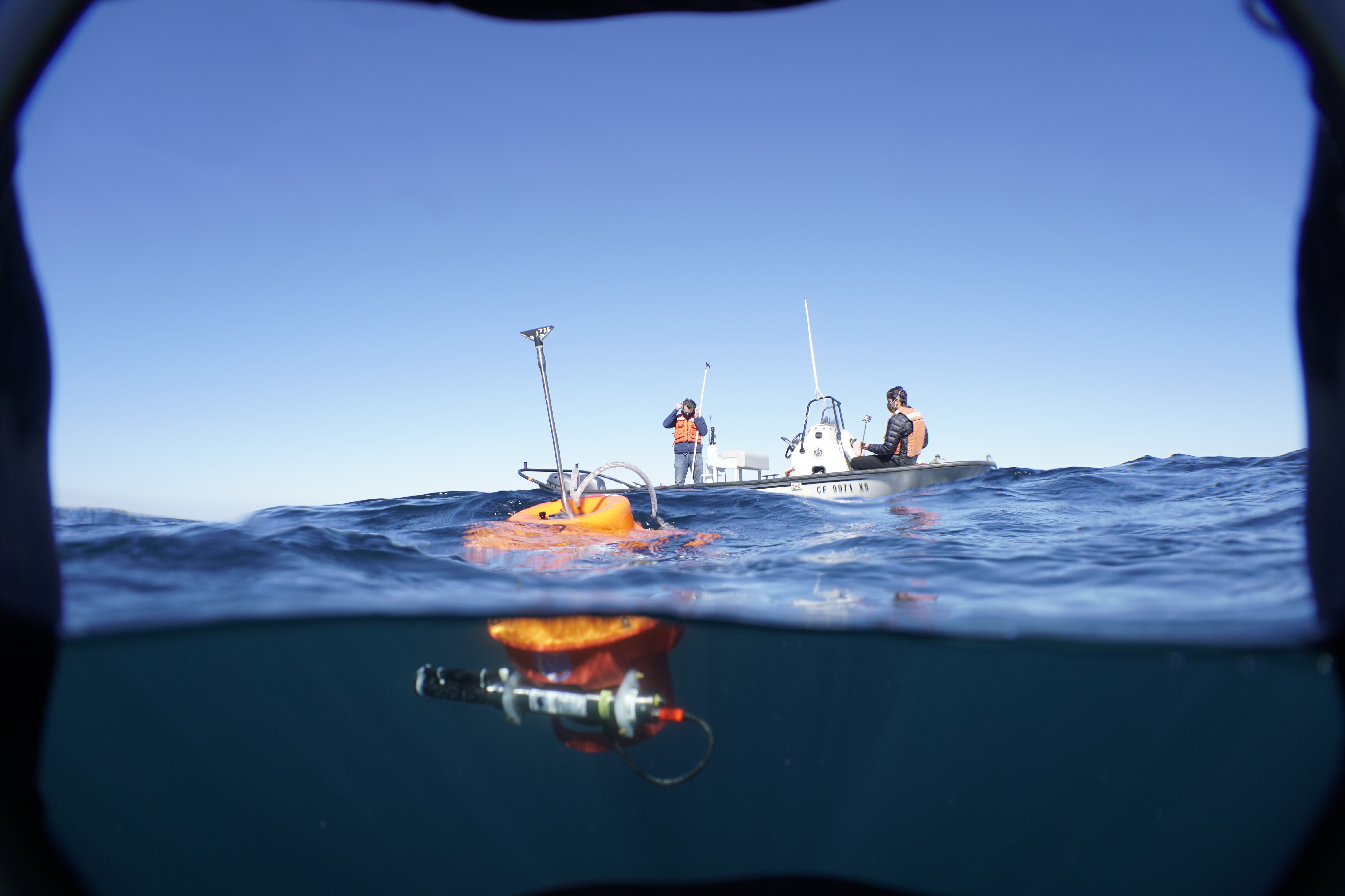 Os oceanos do mundo acabaram de igualar um recorde histórico de calor, com média de 21,07 C em agosto, e cientistas alertam que o impacto vai muito além da vida marinha. Mares mais quentes estão redesenhando áreas de pesca, elevando o custo do pescado e empurrando choques de oferta direto para o bolso do consumidor.

A água mais quente faz os peixes migrarem ou morrerem, forçando o fechamento de zonas de pesca e criando escassez que se espalha por processadores, exportadores e mercados. Os cientistas citam o Marrocos, onde as populações de sardinha desabaram e a proibição de exportações provocou escassez na Europa, como um retrato do que vem por aí.

O branqueamento dos corais ameaça regiões que vivem do turismo, proliferações de águas-vivas já pararam reatores nucleares na França e a elevação do nível do mar pressiona a infraestrutura costeira. Com a COP31 se aproximando, pesquisadores defendem que ministros da Fazenda tratem o calor dos oceanos como emergência econômica, não apenas ambiental, já que adaptar os mares é muito mais difícil do que ligar um ar-condicionado.