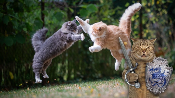 O resumo semanal da Eurogamer está de volta com uma mistura selvagem de aventuras nos games. De criar um exército de gatos de batalha em Mewgenics no Nintendo Switch 2 a se perder no mundo repleto de vampiros de Blood of Dawnwalker, a equipe está mergulhando fundo em títulos seriamente viciantes.

A equipe também está maximizando em Fire Emblem: Fortune's Weave, causando o caos glorioso como um ganso em Untitled Goose Game, e sendo arrastada de volta para o beta de World of Warcraft: Forever. Seja você fã de RPGs táticos, travessuras indie ou mundos online massivos, há algo aqui para despertar sua próxima sessão de jogo.