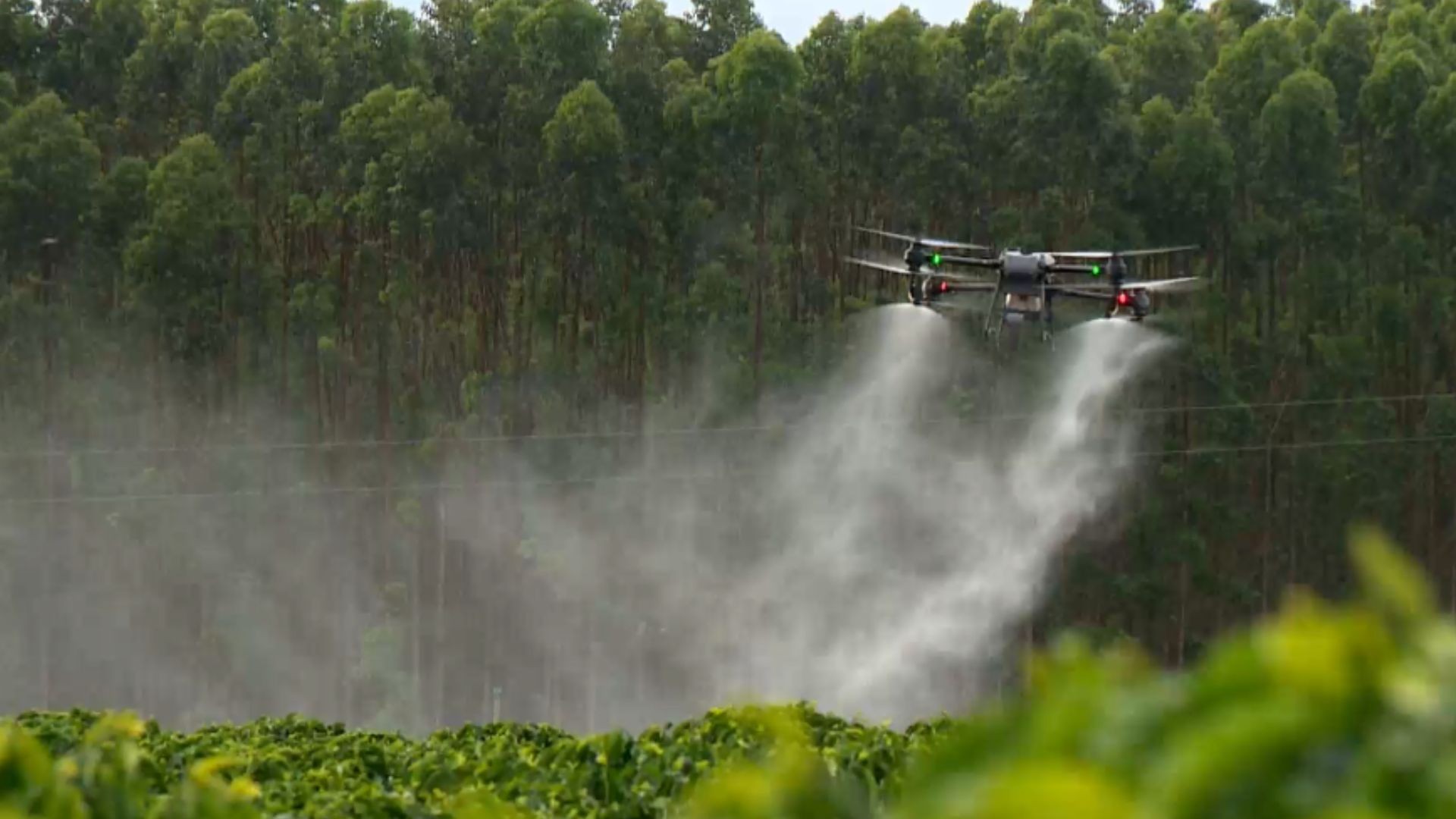 A Comissão Europeia quer trocar autorizações temporárias de agrotóxicos por liberações sem prazo definido, inclusive para substâncias controversas como o glifosato. A proposta transforma revisões de segurança em exceção e transfere para reguladores, não para a indústria, o pedido dessas avaliações.

A comissão afirma que a medida reduz burocracia e ajuda os agricultores a manter a competitividade, mas centenas de cientistas e especialistas da ONU alertam para o risco. Eles dizem que enfraquecer a fiscalização coloca a saúde pública e os ecossistemas em perigo, sobretudo para trabalhadores rurais e crianças.

Com a exposição a pesticidas já associada a câncer, doenças respiratórias e problemas de desenvolvimento, a disputa é um teste sobre se a pressão corporativa vai prevalecer sobre a precaução e a saúde humana.
