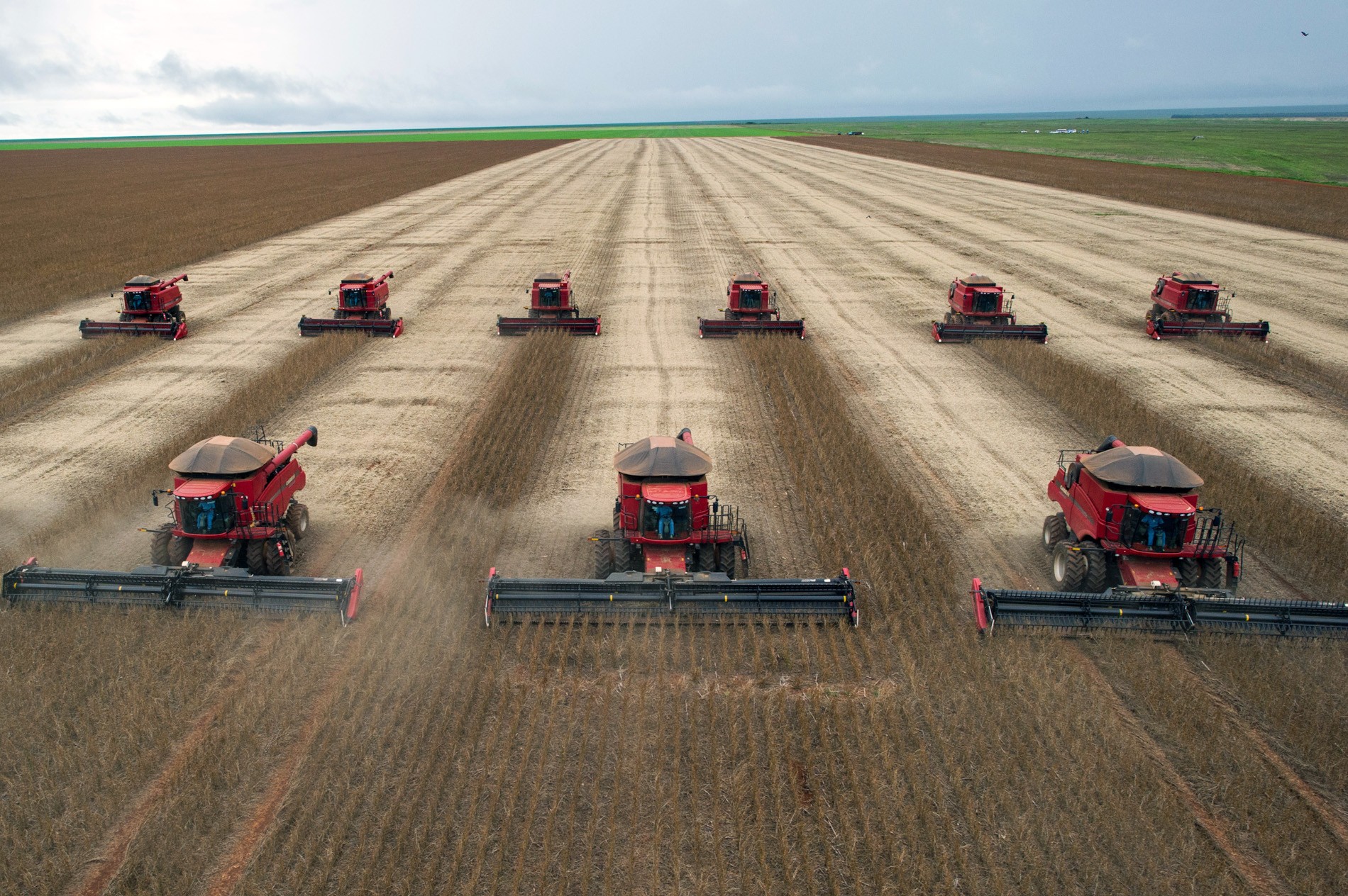 A Associação Brasileira do Agronegócio (Abag) entregou ao próximo presidente uma lista de cinco políticas públicas prioritárias, que vão do financiamento rural e da resiliência climática às cadeias estratégicas de insumos, à infraestrutura, à imagem do setor e à abertura de mercados no exterior.

Os números escancaram a pressão: apenas cerca de 3% da produção agropecuária está coberta por seguro, e produtores acumulam dívidas após safras seguidas destruídas por eventos climáticos extremos, juros altos e custos elevados. O setor pede um fundo nacional de catástrofes e um novo marco regulatório para o seguro rural.

Mas o debate joga na mesa dilemas mais duros: quem paga, de fato, a conta da crise climática, e até que ponto um modelo voltado à exportação e dependente de fertilizantes importados pode crescer sem avançar sobre o meio ambiente e a agricultura familiar? Planejamento de longo prazo e participação privada serão testados justamente nessa tensão.