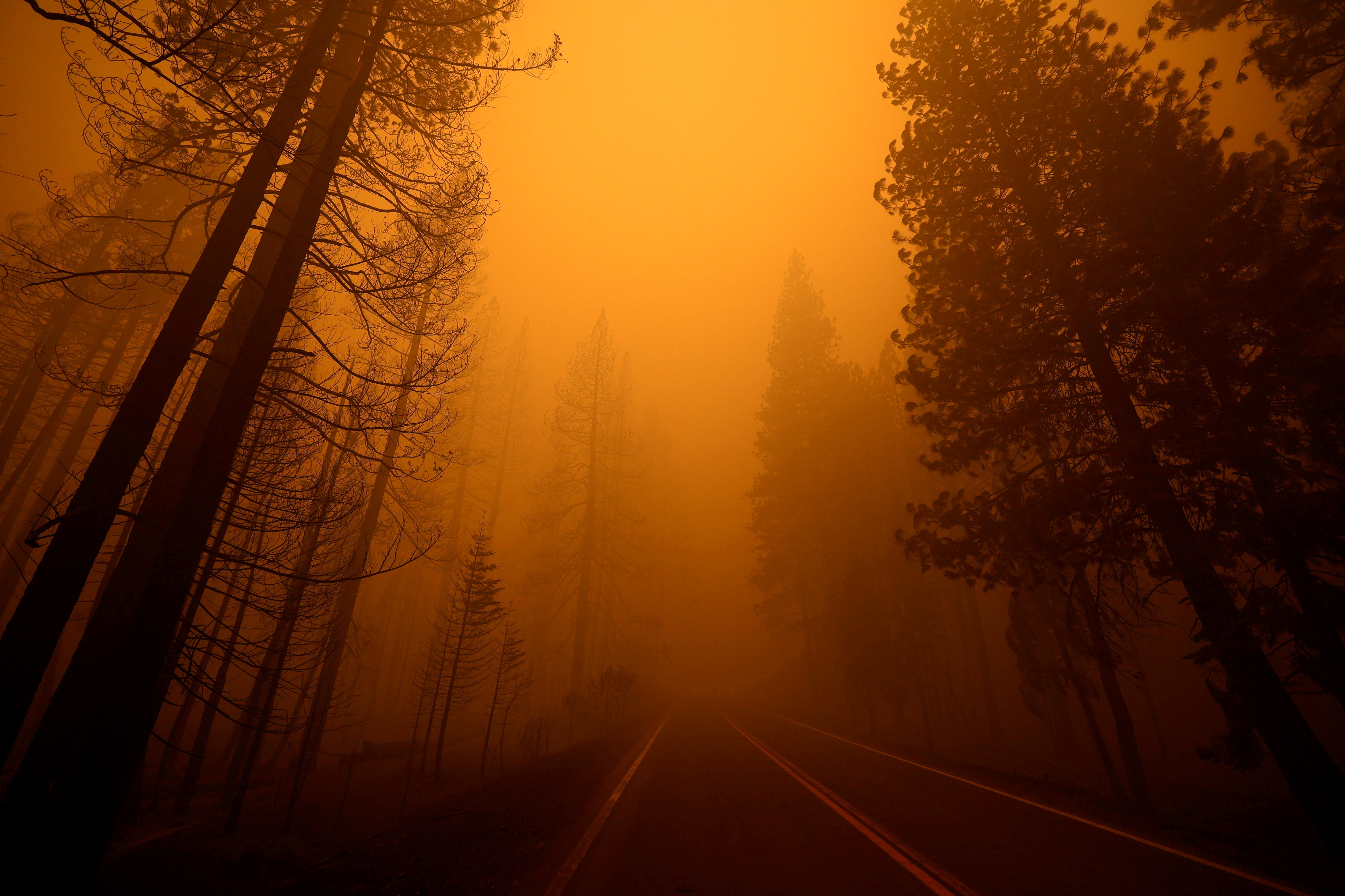 Um novo estudo de 2026 do MIT Sloan e da UCLA School of Law revela que as mudanças climáticas já adicionaram cerca de 900 dólares por ano ao orçamento médio das famílias americanas, com custos acima de 1.300 dólares em um de cada dez condados. As despesas extras vêm de seguros residenciais mais caros, impostos para recuperação de desastres e impactos na saúde pela fumaça dos incêndios florestais.

No mundo, o Instituto Potsdam estima que os danos climáticos podem custar 38 trilhões de dólares por ano à economia global até 2050. Pesquisadores da Universidade do Arizona apontam que o aquecimento global já reduziu a renda americana em 12%, enquanto na Austrália, Nova Gales do Sul perdeu cerca de 21.288 dólares australianos por pessoa em produção econômica em 2024. A seca no rio Reno ameaça a indústria alemã e amplia a desigualdade.

A mensagem é clara: a inação climática não é apenas um fracasso ambiental, é um imposto direto sobre as famílias trabalhadoras. Políticos que atrasam a ação e corporações que lucram com a poluição estão encarecendo a vida cotidiana. A adaptação pode limitar os danos, mas só uma ação climática ousada impedirá que a crise se aprofunde.